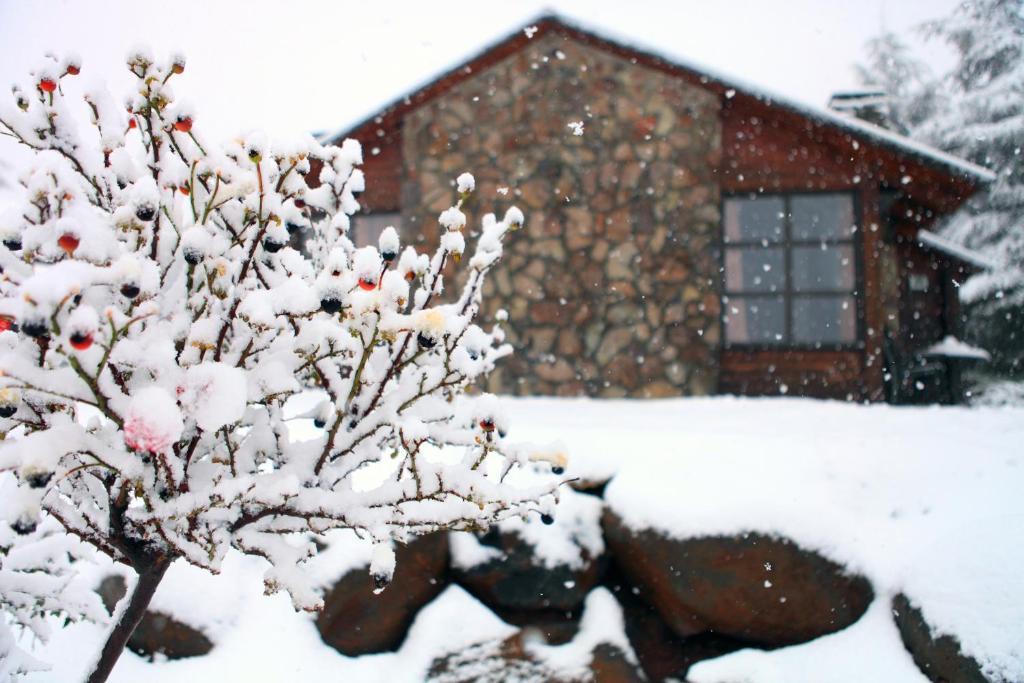 Merom Golan Resort Room photo