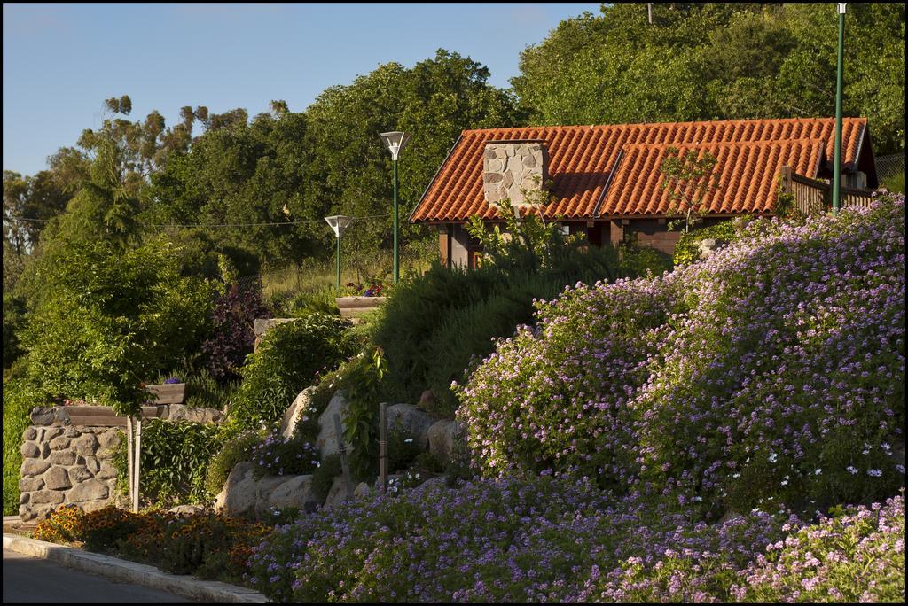 Merom Golan Resort Exterior photo